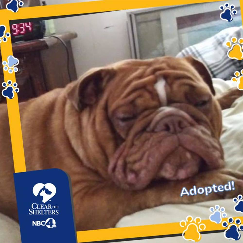 Meet your Posher, Gregory